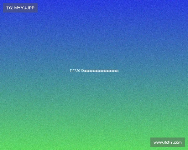 FIFA2010世界杯翻译解析与赛事文化传播研究的多维探讨篇