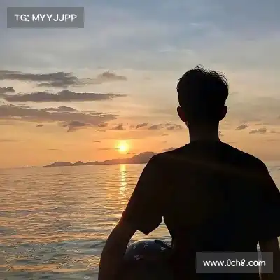 井舟红